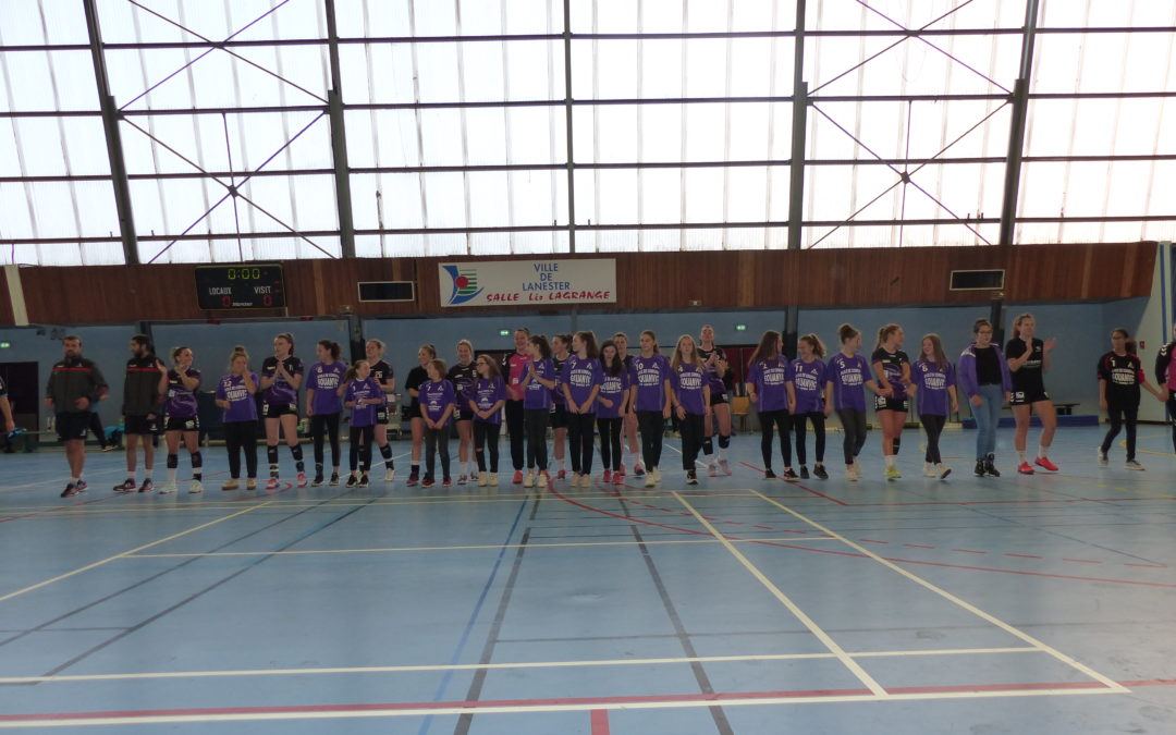 Match de N2F Lanester/Rochefort